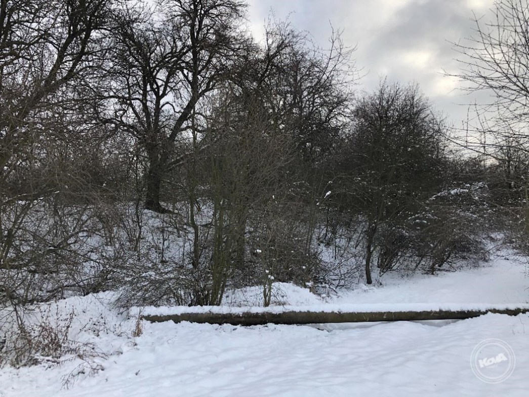 Dražba_pozemků_Rtyně_a_Věšany_2