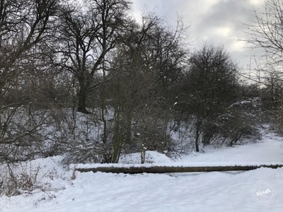 Dražba_pozemků_Rtyně_a_Věšany_2