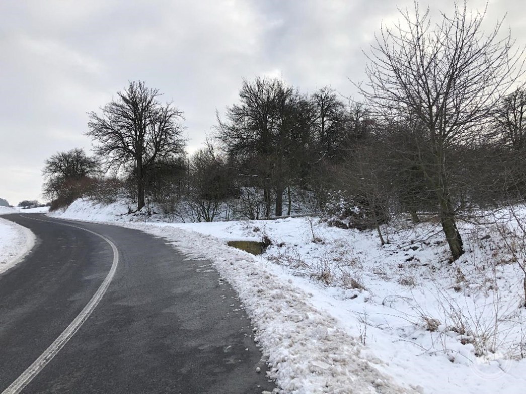 Dražba_pozemků_Rtyně_a_Věšany_5