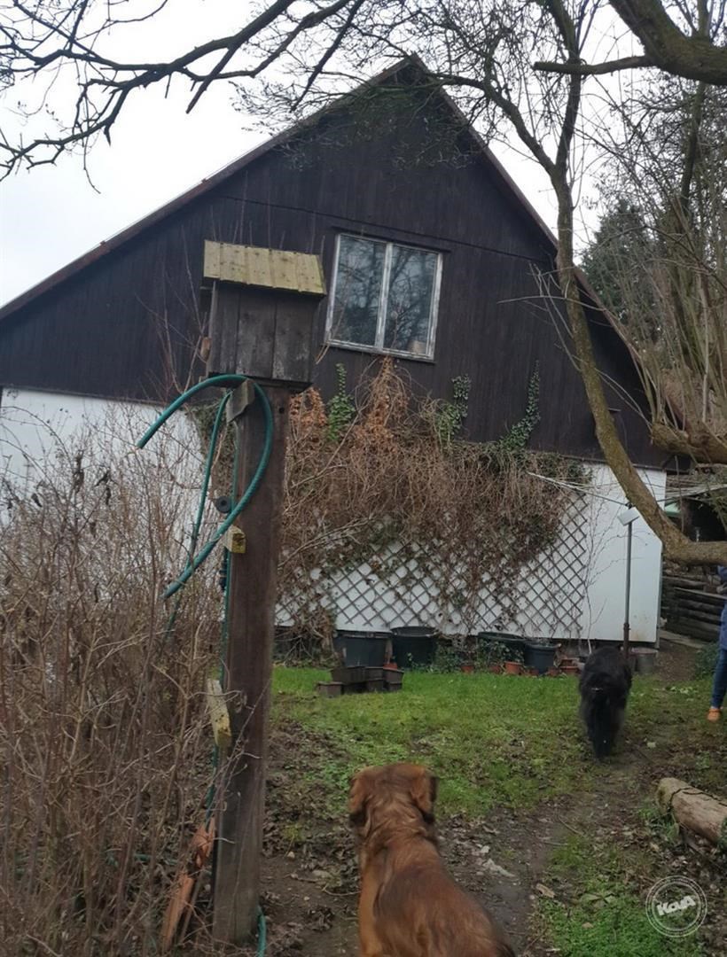 Drazba_ploviny_RD_Zatec_6 (1)