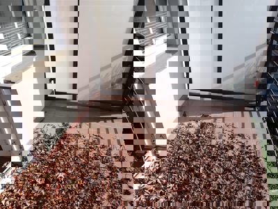 Drazba_byt_Bolevec_15 (3)