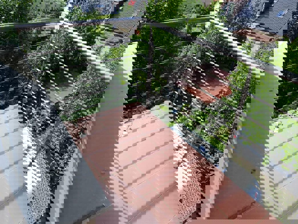 Drazba_byt_Bolevec_16 (3)