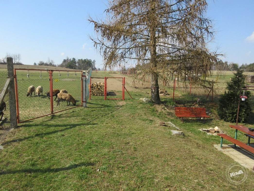 Aukce_pozemku_N_Teleckov_3