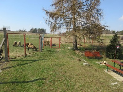 Aukce_pozemku_N_Teleckov_3