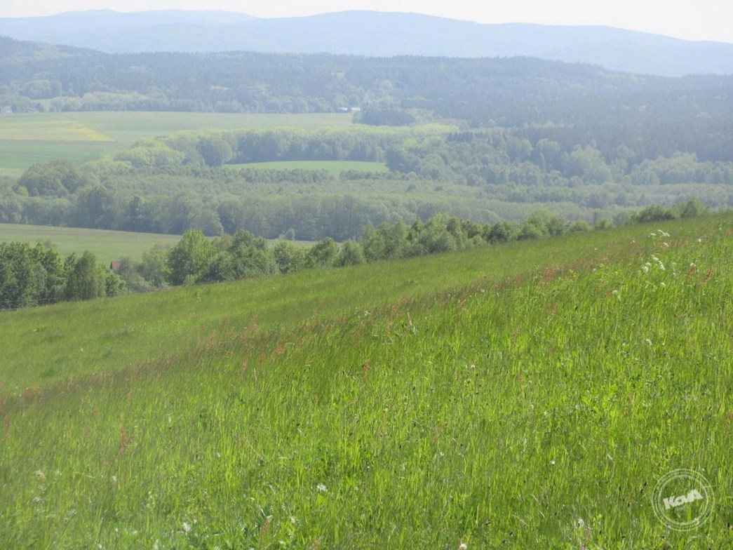 Drazba_pozemku_Chrastava_3