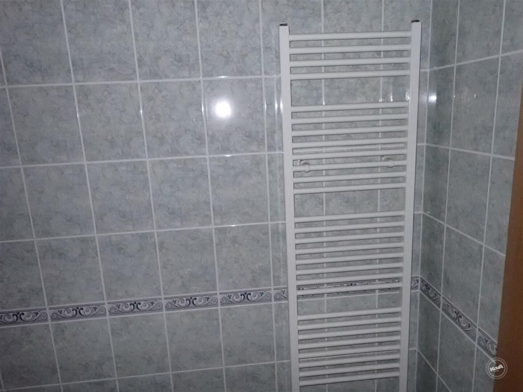 Drazba_byt_Bolevec_11 (3)