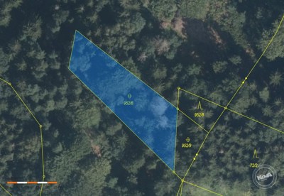 Aukce_pozemku_Krasna_Studanka_4