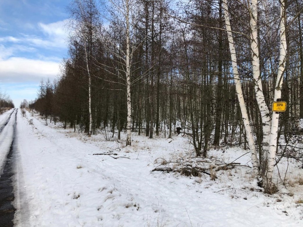 Dražba_pozemků_Žichlice_2