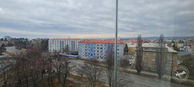 Aukce_bytu_v_Olomouci_13