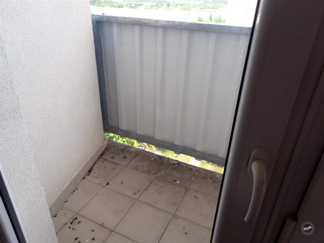 Drazba_byt_Doudlevce_15 (5)