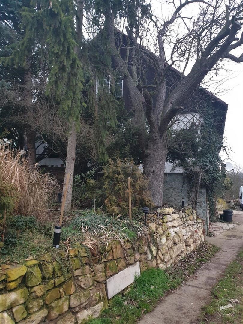 Drazba_ploviny_RD_Zatec_4 (1)