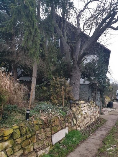 Drazba_ploviny_RD_Zatec_4 (1)