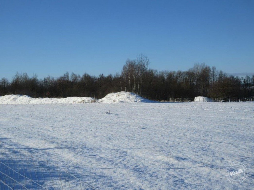 Drazba_pozemku_Krizany_1