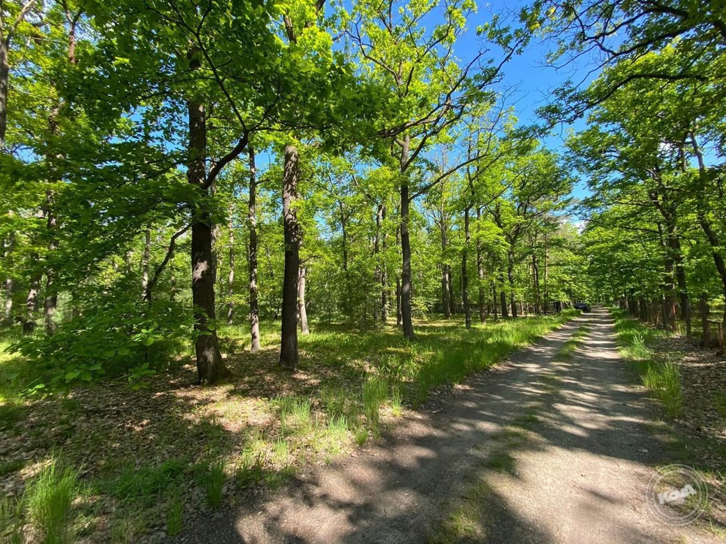 Dražba_pozemku_Kersko_2 (1)