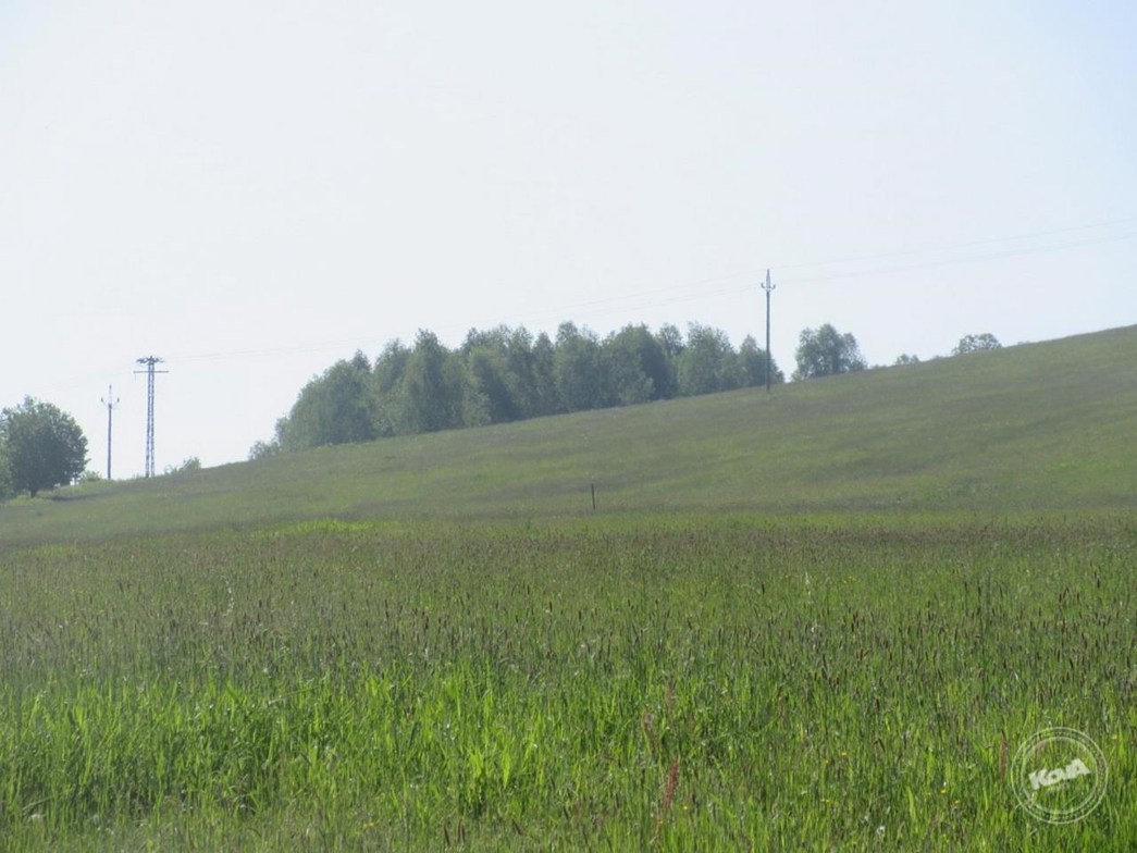 Drazba_pozemku_Chrastava_2