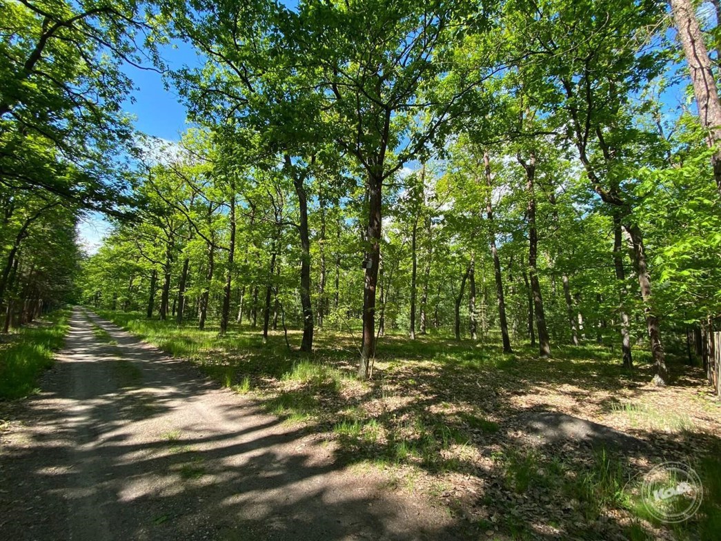 Dražba_pozemku_Kersko_2_1_