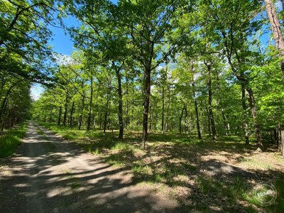 Dražba_pozemku_Kersko_2_1_