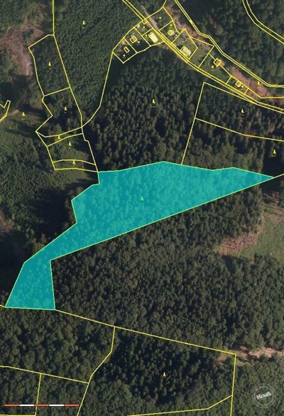 f14752aa-2fa6-4582-881b-104090e09520